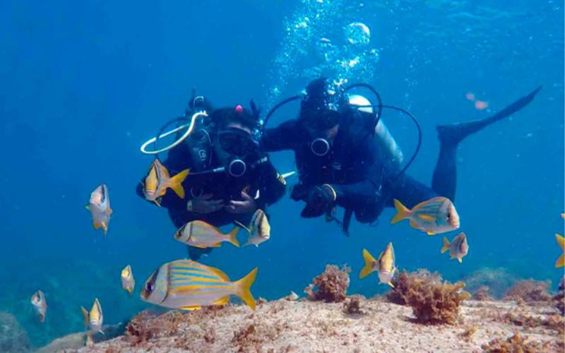 Buceo